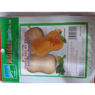 Hạt giống bí hạt đậu f1 pn-389 phú nông