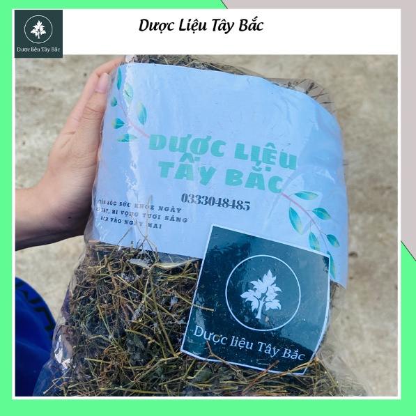 Giảo Cổ Lam 5 Lá Sơn La 1kg hàng loại 1 Dược liệu Tây Bắc