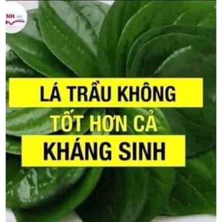 dung dịch vệ sinh i'm nature