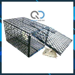 Lồng Bẫy chuột - Lồng Bắt Chuột Lớn kt 20x30cm