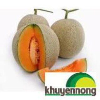 10 hạt giống dưa lưới xanh
