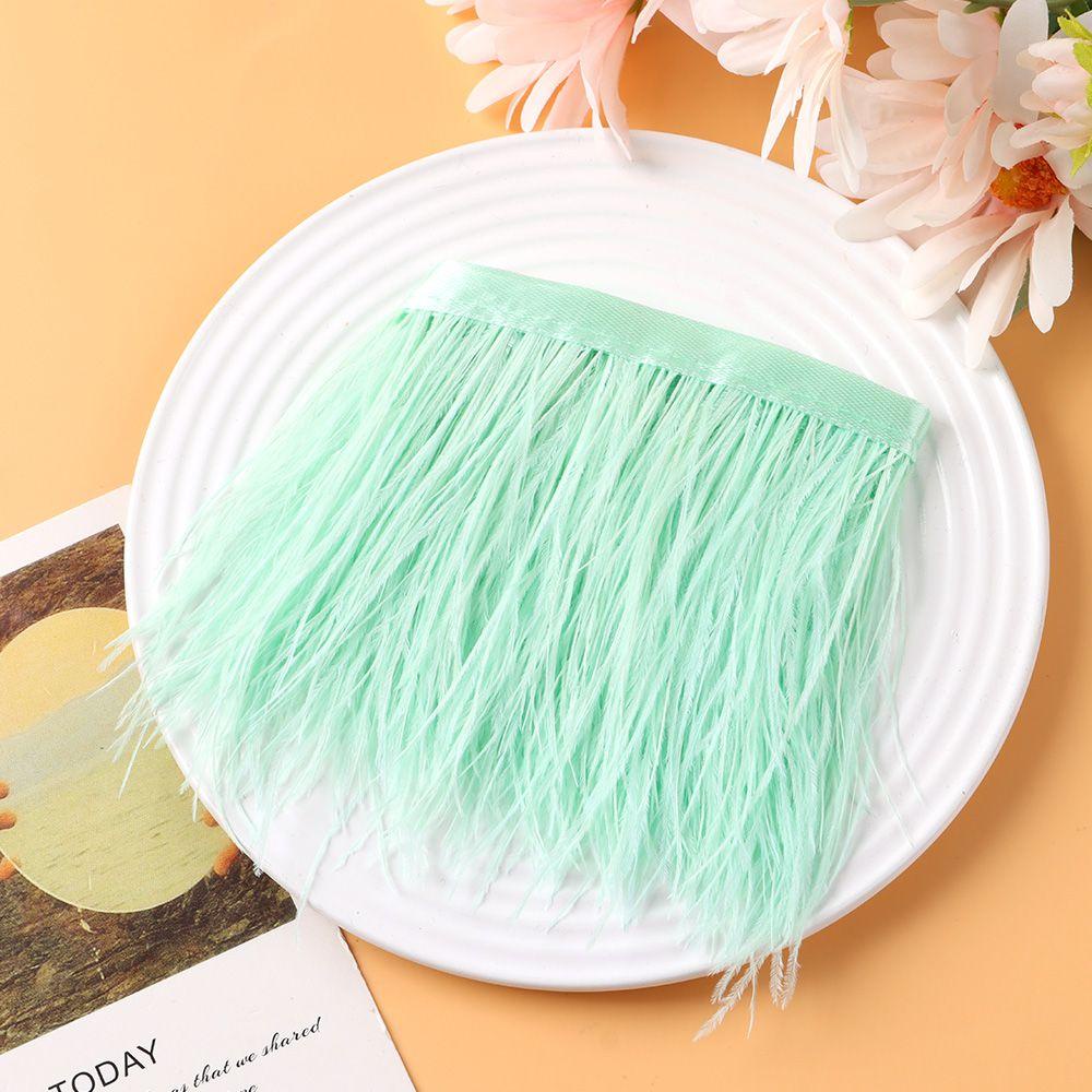 Dây Ruy Băng Dài 1M Rộng 8-10Cm Đính Lông Đà Điểu Thời Trang Cho Nữ