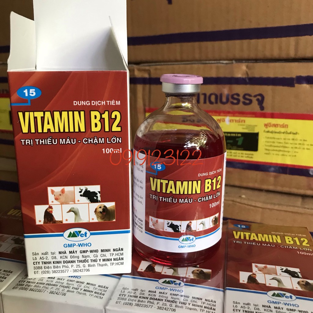 Vitamin B12 giúp giải độc chống sốc cho Lan lọ xành 100ml