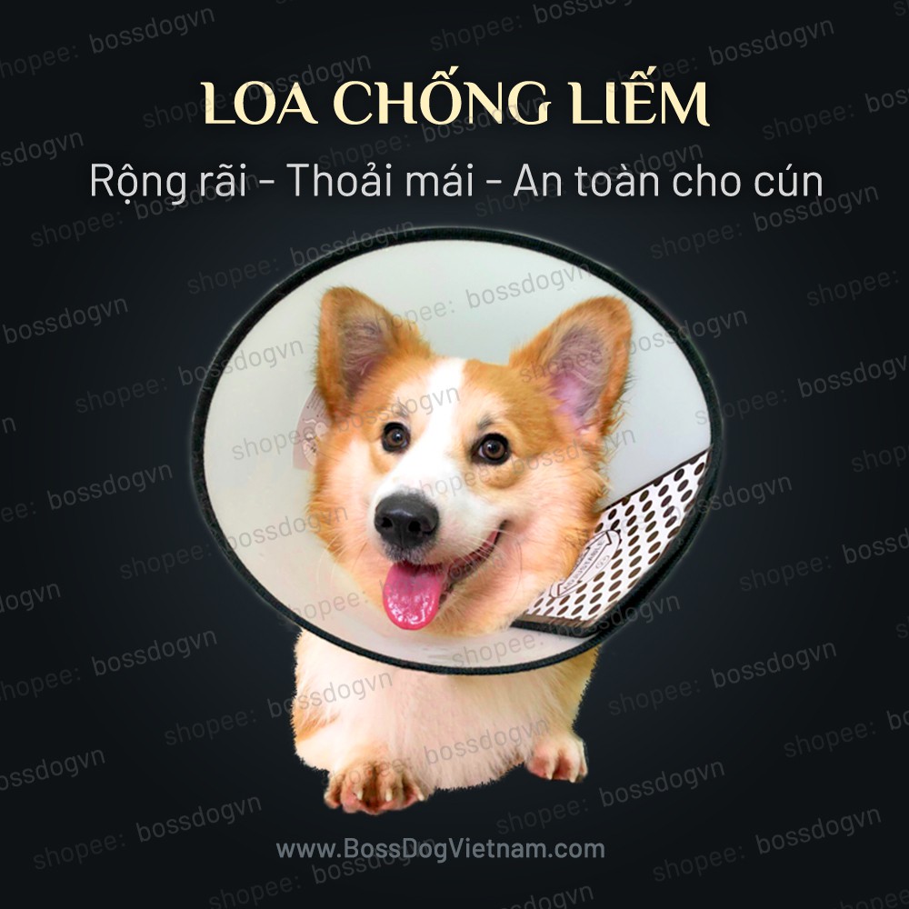 Loa chống liếm phù hợp với mọi dòng cún Phốc sóc, Poodle, Husky, Alaska,... - Thiết kế an toàn, vững chắc | BossDog