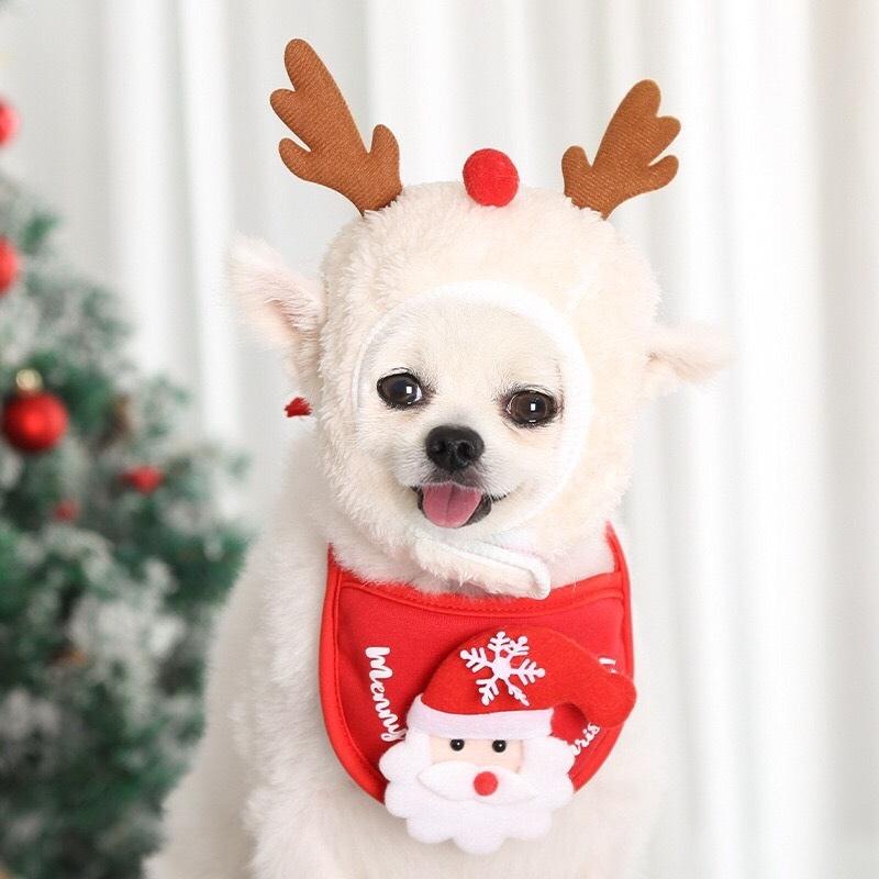 Áo cho chó mèo mẫu áo noel giáng sinh cho thú cưng-familypetshop.vn