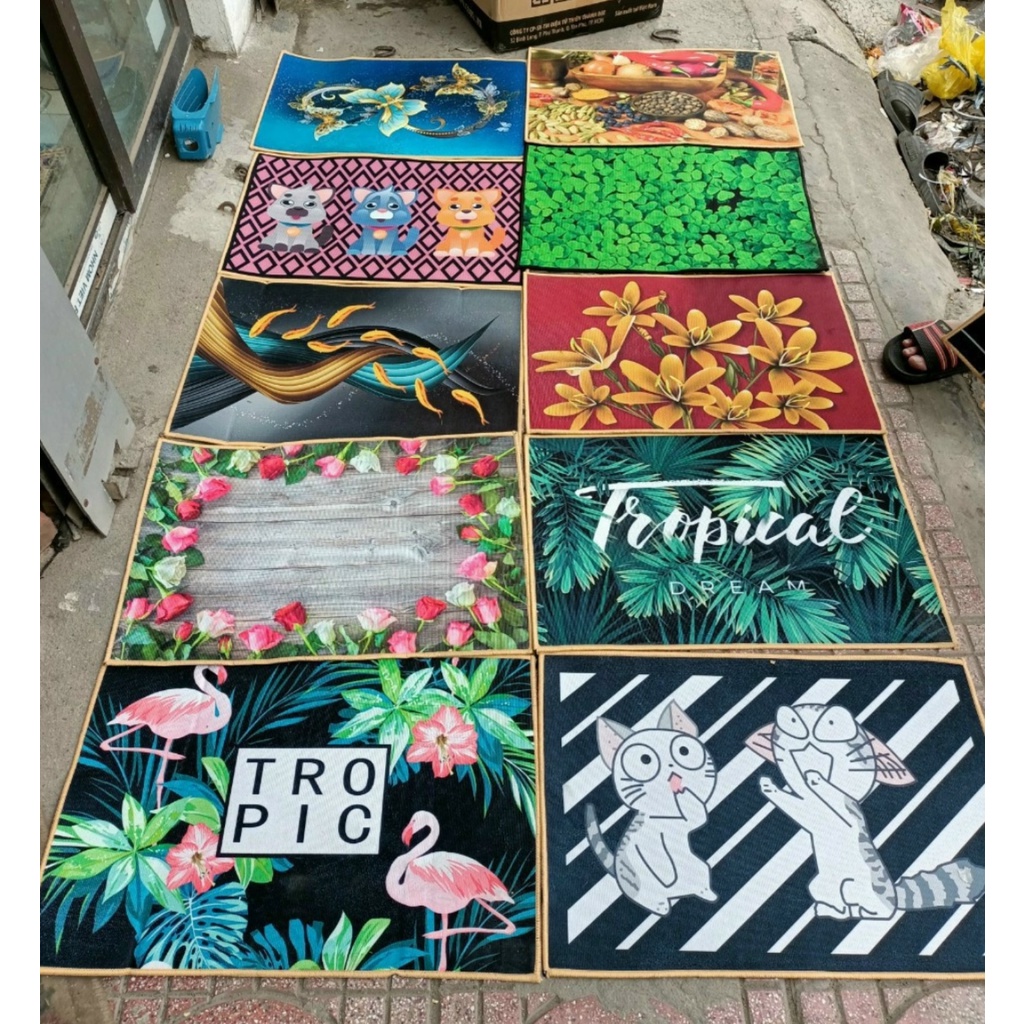 Thảm Lau Chân Thấm Hút Tốt 60x40 cm Hoạ Tiết 3D Siêu Bền Nhiều Mẫu