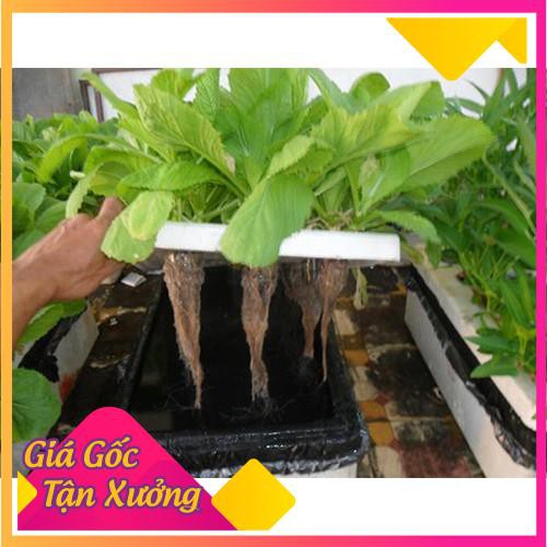 Dung Dịch Thủy Canh HYDROPONIC 500ML