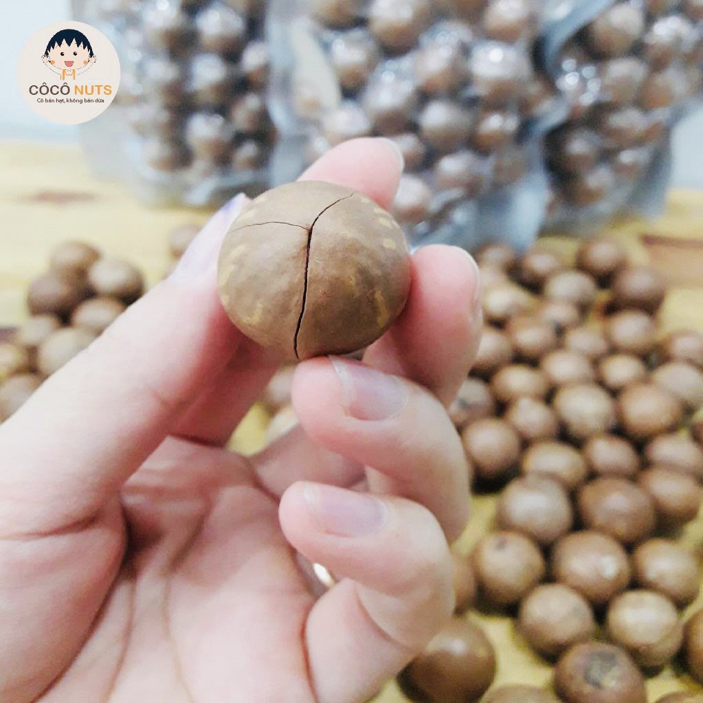 Hạt Macca Đắk Lắk CÔCÔ NUTS Loại 1 Nứt Vỏ Tự Nhiên - 500g kèm đồ khui