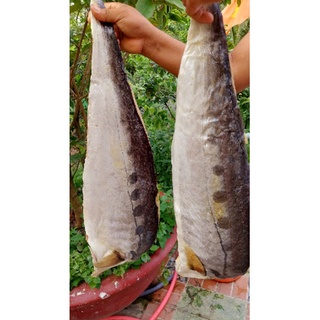 Khô cá Bè đá 1000 gram