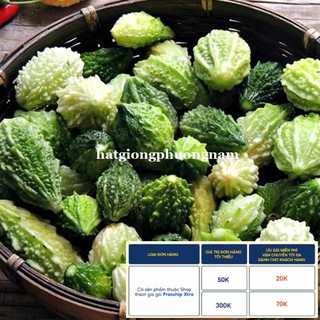 10h - hạt giống khổ qua rừng
