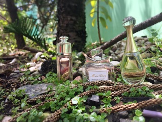 Nước hoa Dior Mini đủ mùi