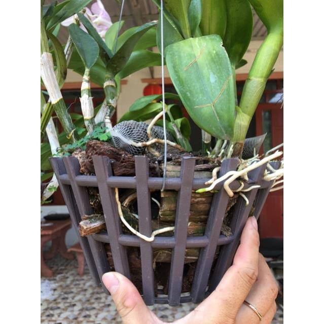 Phân Bón Lan ORCHID 1-2-3 - Dưỡng Cây - Kích Ra Hoa Phong Lan - Phân Lan Túi Lưới