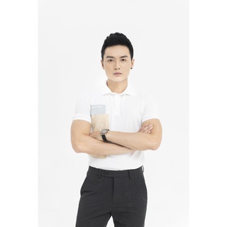 ÁO POLO NAM CỔ BẺ - VẢI COTTON CO GIÃN 4 CHIỀU - FORM ÁO LÊN NAM TÍNH VỚI 2 MÀU ƯA CHUỘNG, áo polo có cổ, ao polo nam