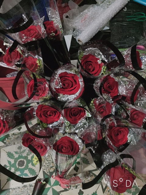 1 bó hoa hồng khổng lồ