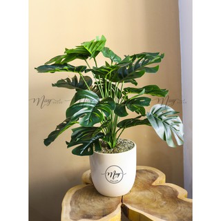 Cây giả, Chậu cây lá rùa cây kèm chậu 55cm,60cm