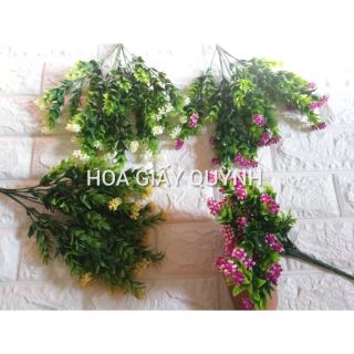 CDNGAU- Cành điểm hoa ngâu hạt