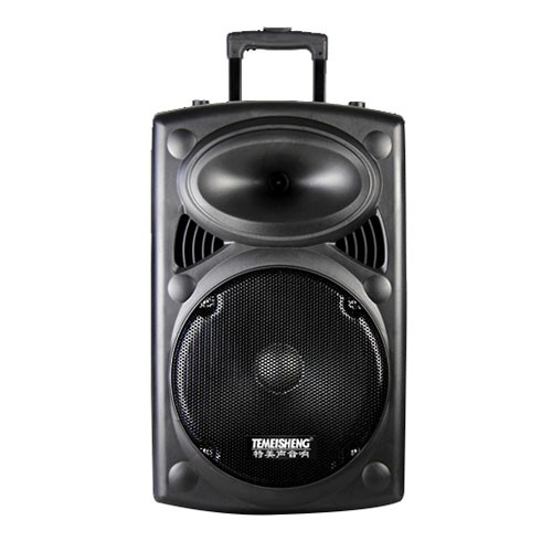 Loa kéo Temeisheng 297L bass30