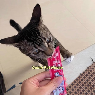 Súp thưởng 15g cho mèo (giao ngẫu nhiên)