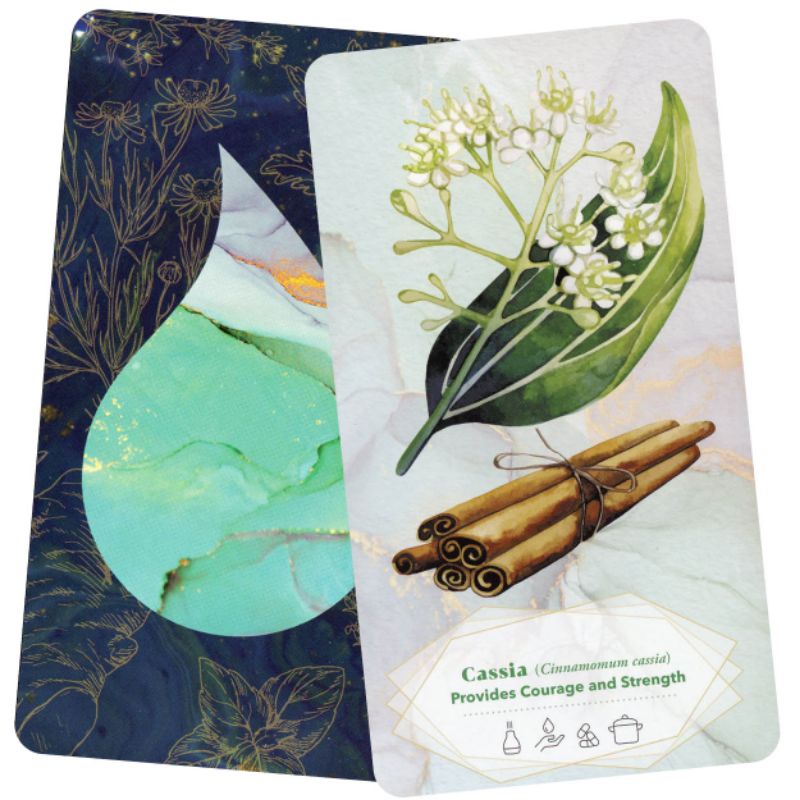 Bài The Essential Oils Healing Deck