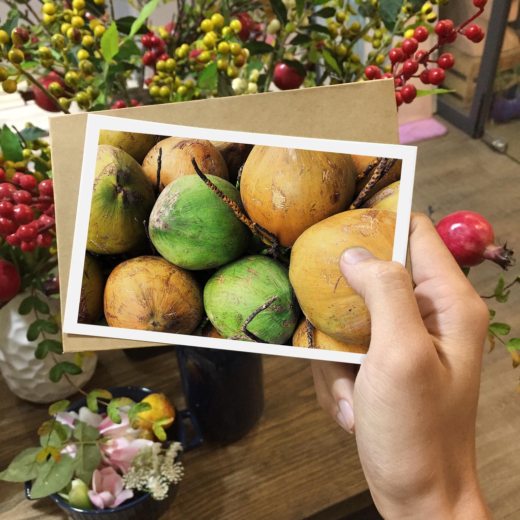 Postcard, Thiệp trang trí, quà tặng lựu niệm chủ đề  Việt Nam - P2, Tặng kèm bì thư giấy Kraft