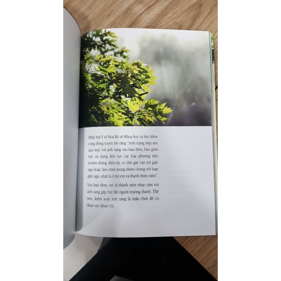 Sách - Shinrin Yoku – Nghệ Thuật Tắm Rừng Của Người Nhật Bản - tặng kèm bookmark | BigBuy360 - bigbuy360.vn