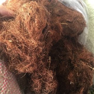Sỉ toàn quốc giá rẻ trà râu ngô 100g - 200g