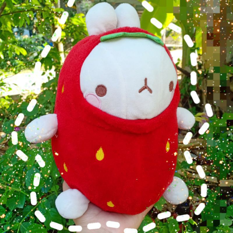 Gấu bông molang 25cm