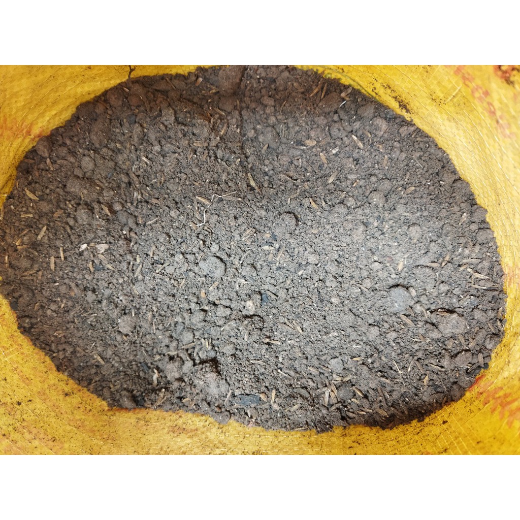 Đất sạch giàu dinh dưỡng TRIBAT trồng Dâu tây, rau, và các loại cây cảnh