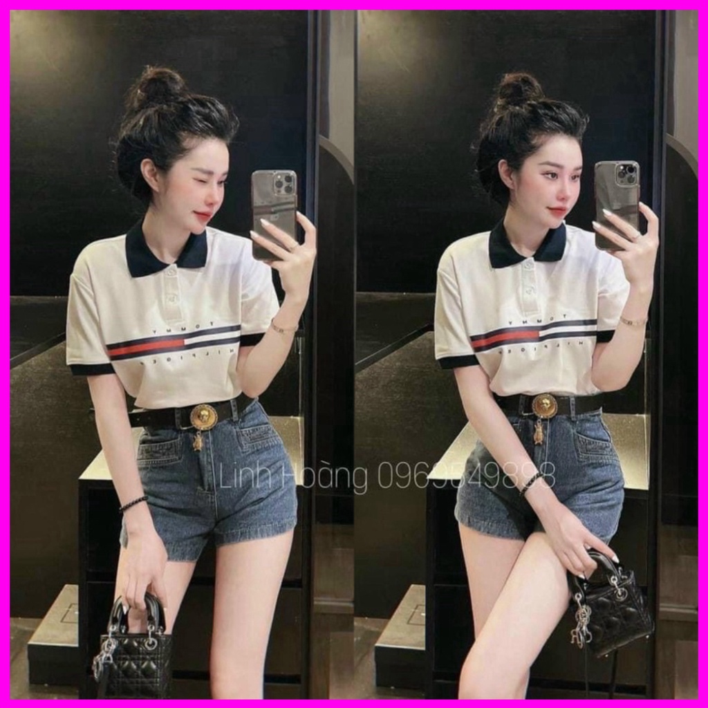 [FREESHIP] Áo Polo Tommy nam nữ Cổ Bẻ, áo polo  Siêu Hit Hot 2022 | BigBuy360 - bigbuy360.vn