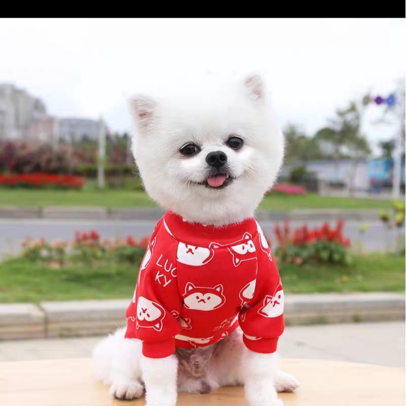 Sỉ/Lẻ Quần Áo cho chó mèo thú cưng , áo tết chó mèo nhỏ poodle NGAUPET in hoạ tiết đẹp full size XS - 2XXL