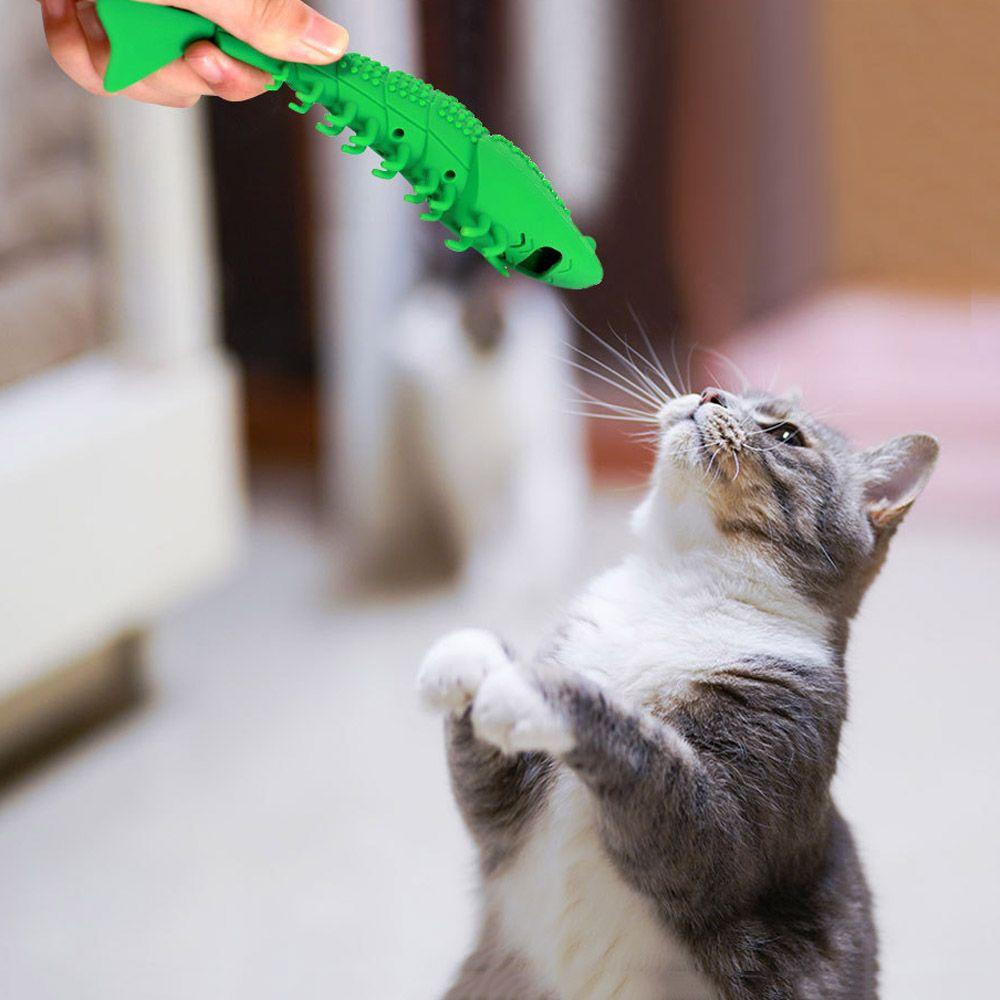 LAYOR1 Bàn Chải Đánh Răng Đồ Chơi Cho Mèo