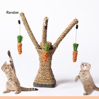 Đồ Chơi Cào Móng Hình Cây Cà Rốt Cho Mèo