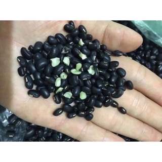 Đỗ đen xanh lòng 55k/1kg