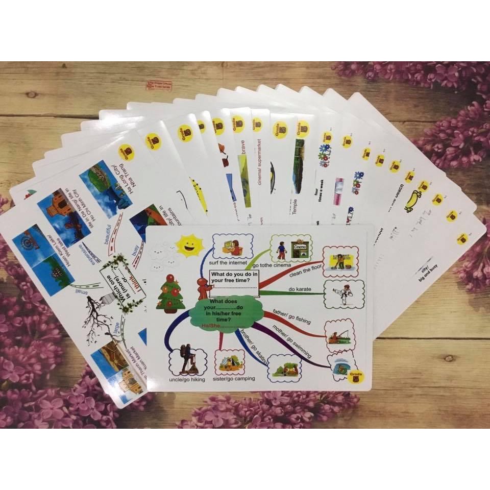 Mindmap Flashcard lớp 5 khổ A3 cánbóng kỳ 1-2