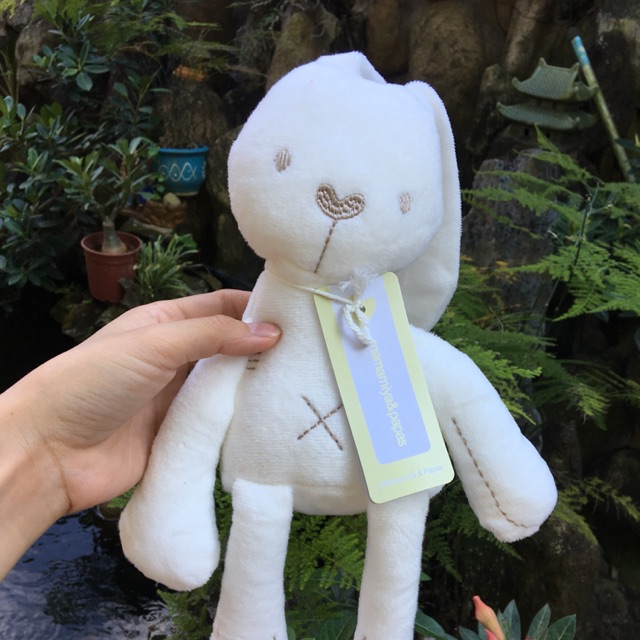 Gấu papa mama