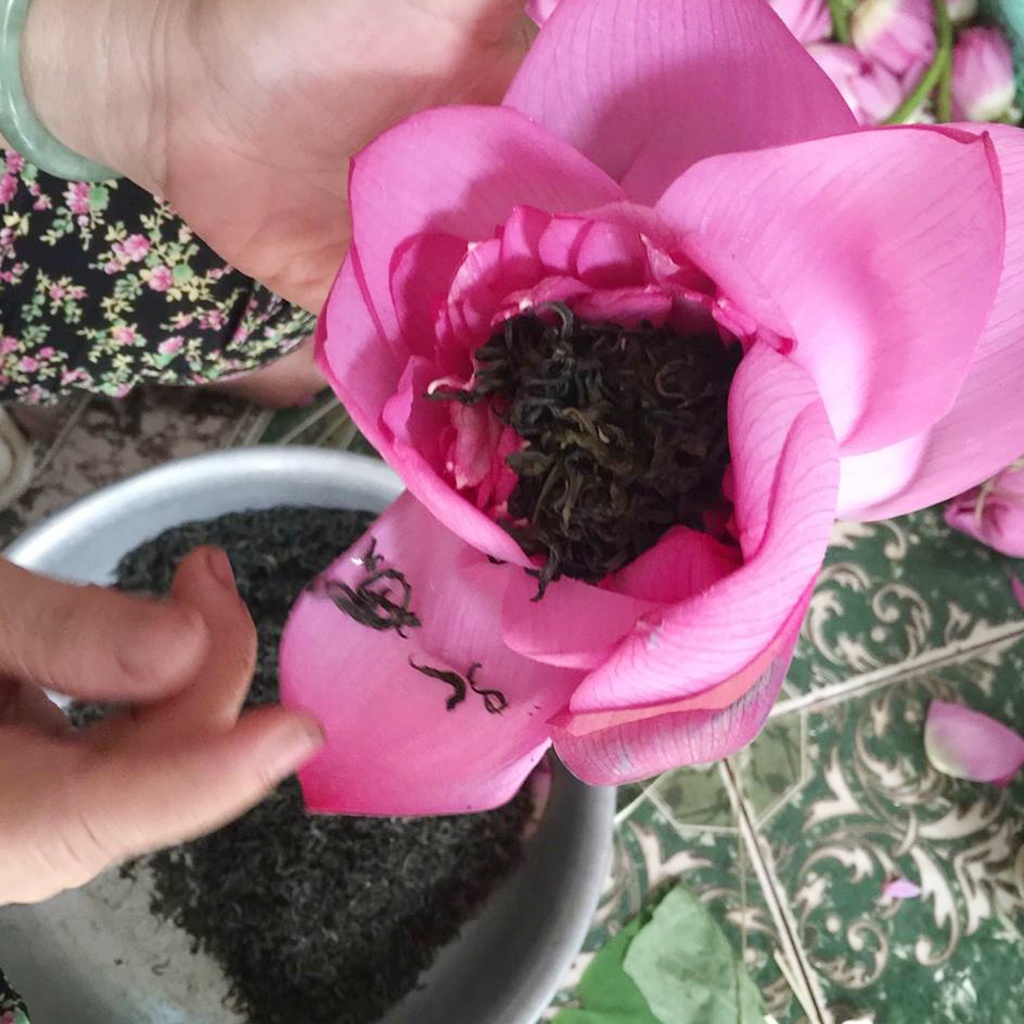 Trà ướp bông sen Tây Hồ đã sấy khô vận chuyển toàn quốc freeship Hà Nội | BigBuy360 - bigbuy360.vn