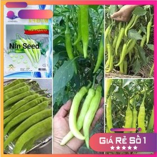 Hạt giống ớt sừng trắng thái lan - 0,5gram - hgnk