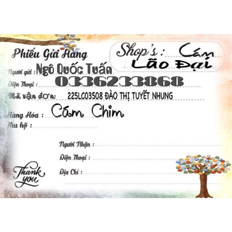 Cám vỗ béo thay lông chào mào-lão đại