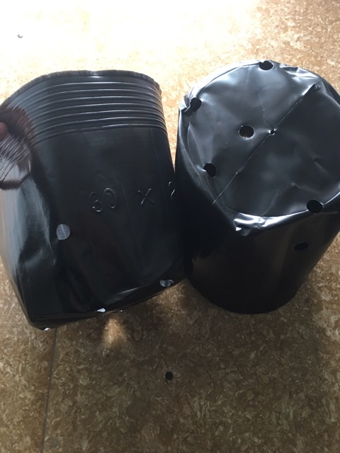 500gr túi bầu ươm cây