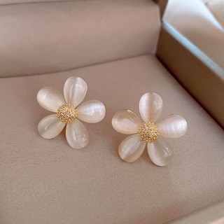 Bông tai đá mắt mèo