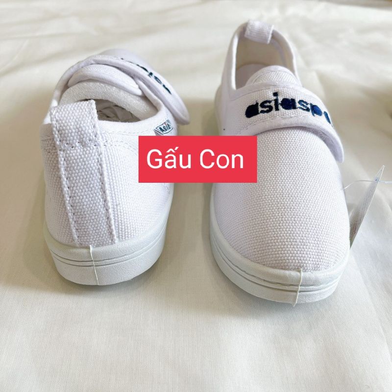 Giày Thể Dục Xé Dán Asia - Giày bata vải quai xé, Giày thể thao, giày học sinh