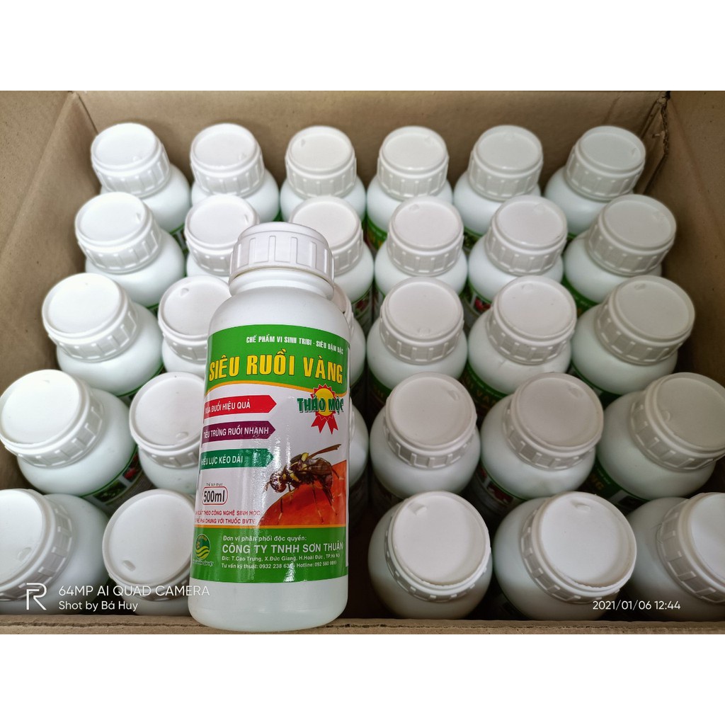 (HOT) Ruồi vàng thảo mộc đặc biệt ( tặng kèm 1 miếng dính ruồi vàng 15*25)