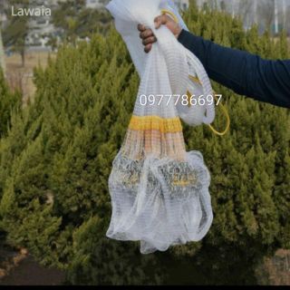 Chài cước bắt cá_ chài cước chân xích cao 3m bung ra 6m nặng 4.5kg