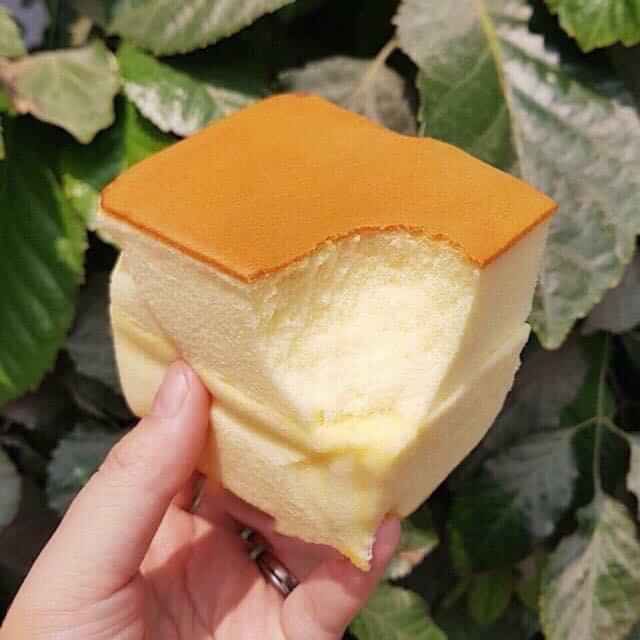 [ Mềm ngon ] Combo 1000g BÁNH SHOUGON mông to món ăn vặt nhiều dưỡng chất