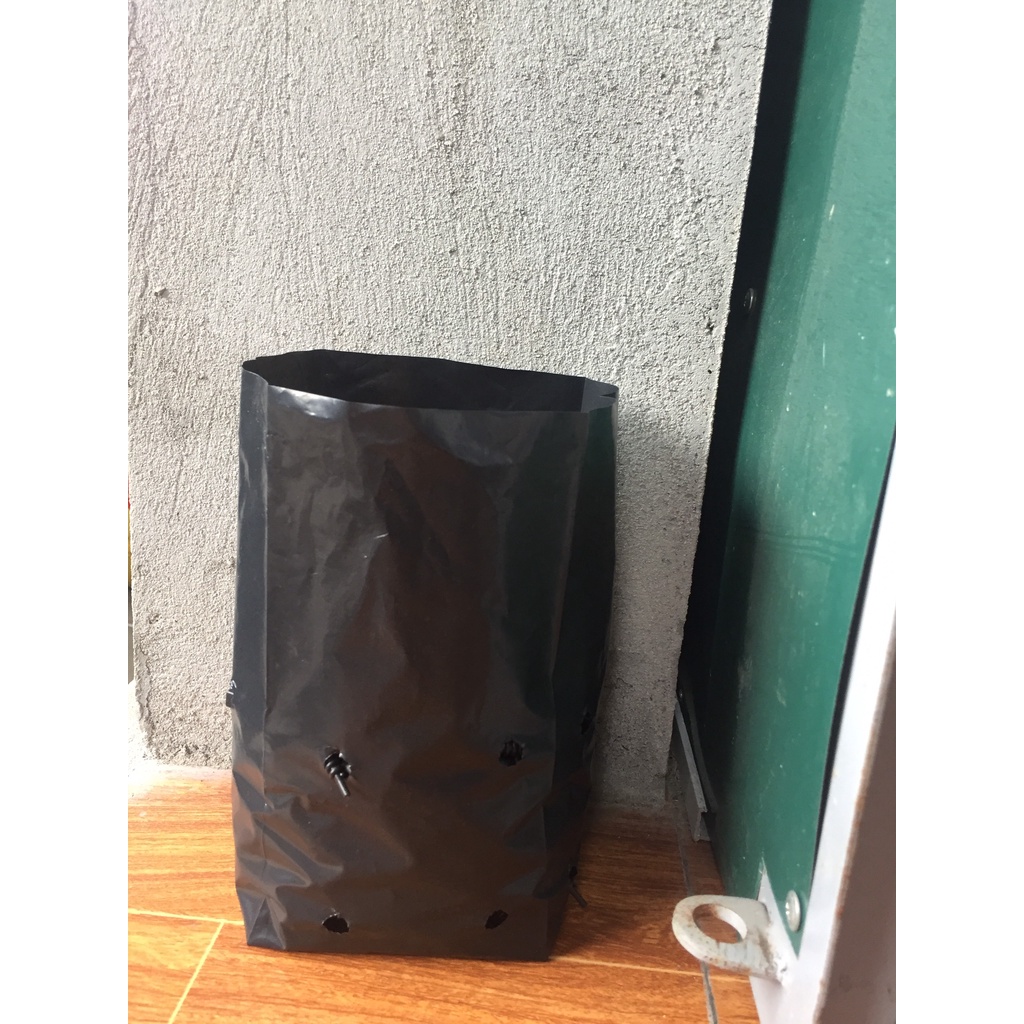 1KG TÚI ƯƠM CÂY MÃ 10*25 ( KÍCH RỄ, MẦM CÂY XANH LÁ, DỊCH TRUYỀN CHO CÂY, BẠT CỎ...)