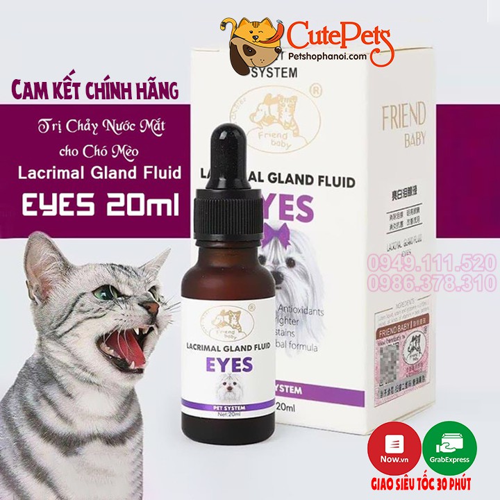 Siro Uống Chống Chảy Nước Mắt Cho Chó Mèo Lacrimal Gland Fluid Eyes 20ml - CutePets