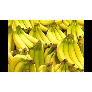 [ Xả - Cắt Lỗ ] Combo 10 cây giống chuối tiêu hồng cấy mô sạch bệnh giá rẻ