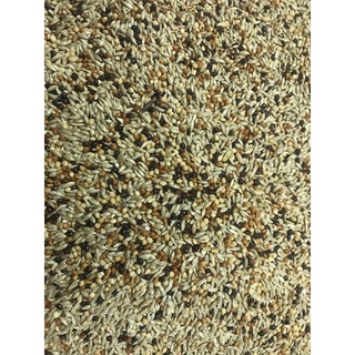 HẠT TRỘN YẾN HÓT…{ Gói 1kg }