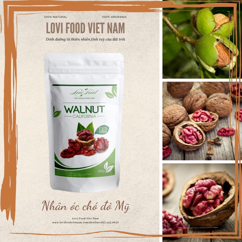 HẠT ÓC CHÓ ĐỎ TÁCH VỎ MỸ - 500gram HẠT CAO CẤP nhập khẩu 100% từ California - Lovi Food Việt Nam