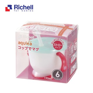 Cốc tập uống 3 giai đoạn Richell RC41013